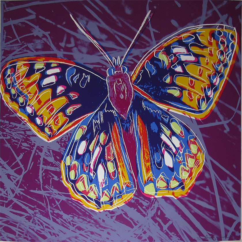 San Francisco Silverspot [II.298]