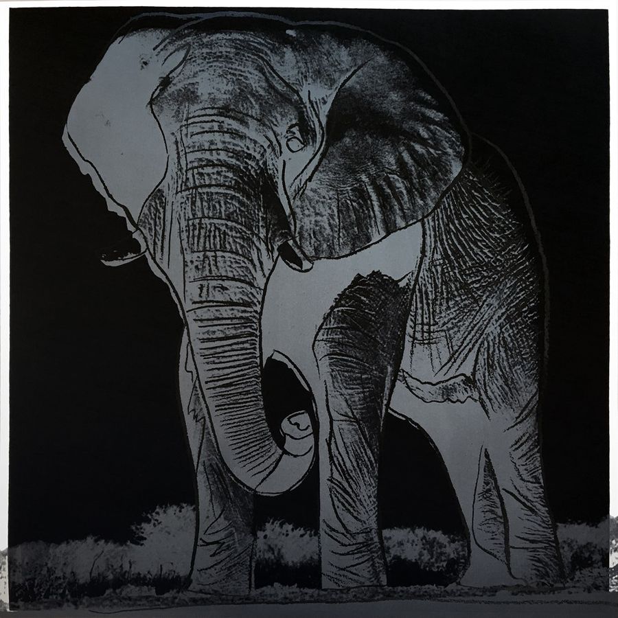 Endangered Species: African Elephant [II.293]