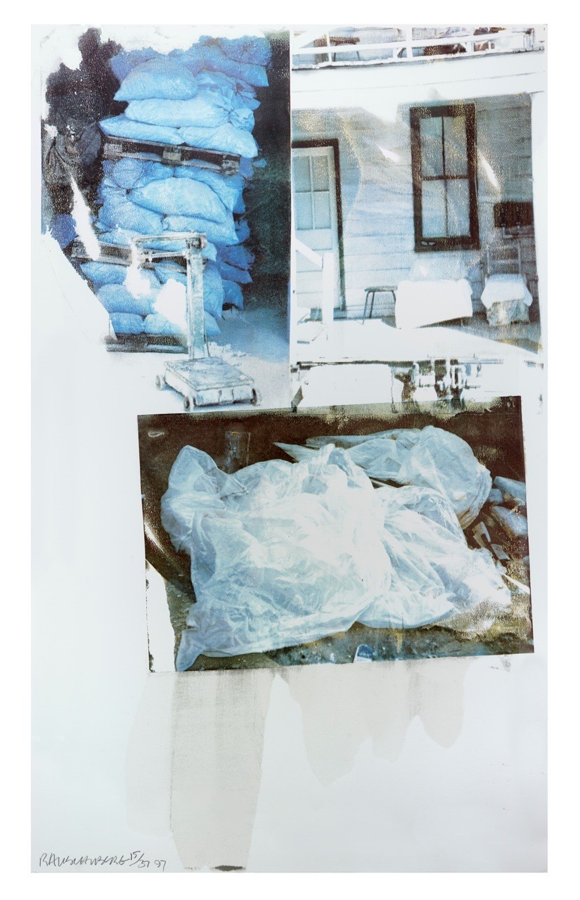Robert Rauschenberg, Speculations (1997)