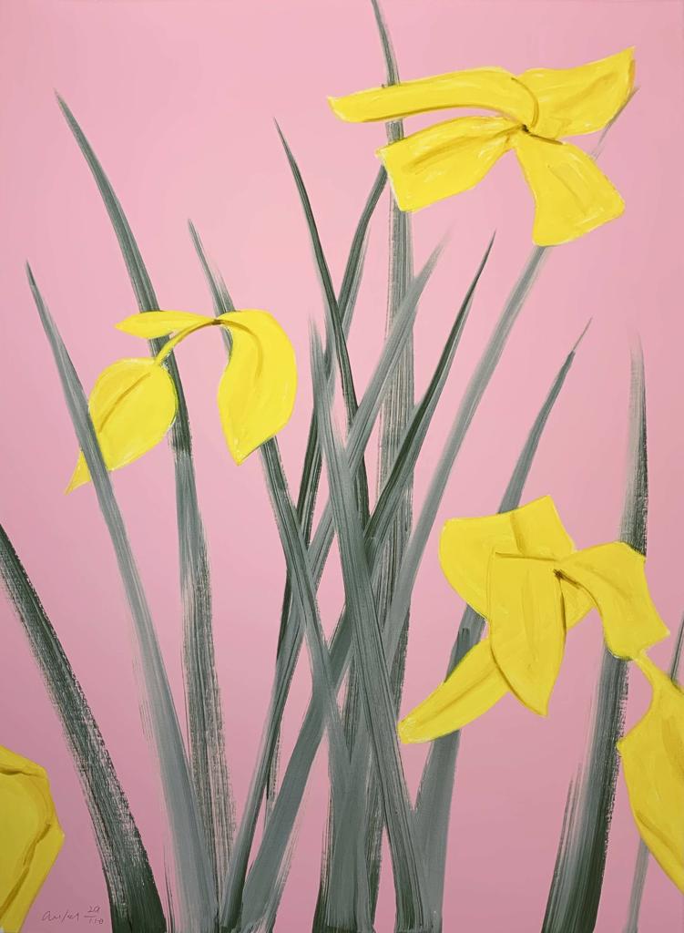 Yellow Flags 3