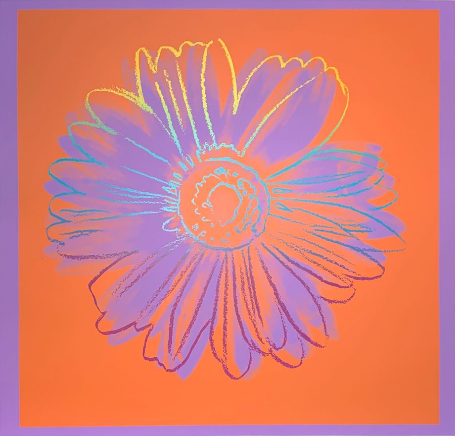 Daisy, IIIA.38
