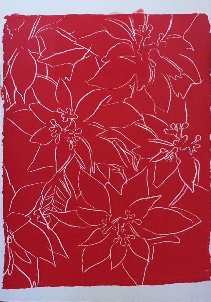 Poinsettias