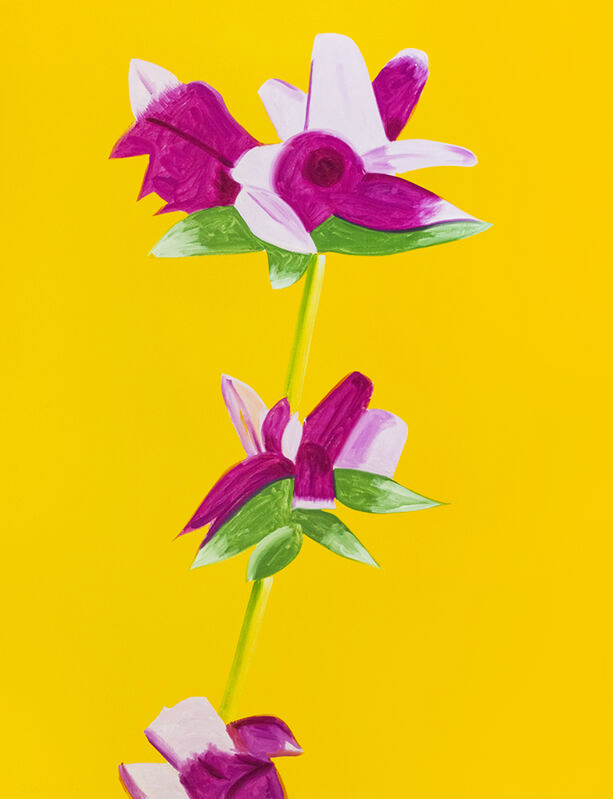 Flowers Portfolio